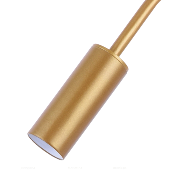 Настольная лампа Грау золото L20 h46 GU10 1*5W (Led лампы в комплекте), 07045-1,33 - 2 изображение