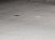 Керамогранит Kerama Marazzi  Парнас серый светлый обрезной 80х80 - 5 изображение
