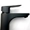 Смеситель для раковины с гигиеническим душем Paini Viva Style P4YO205/574 черный матовый - 4 изображение